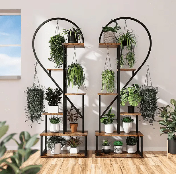 Planters & Garden